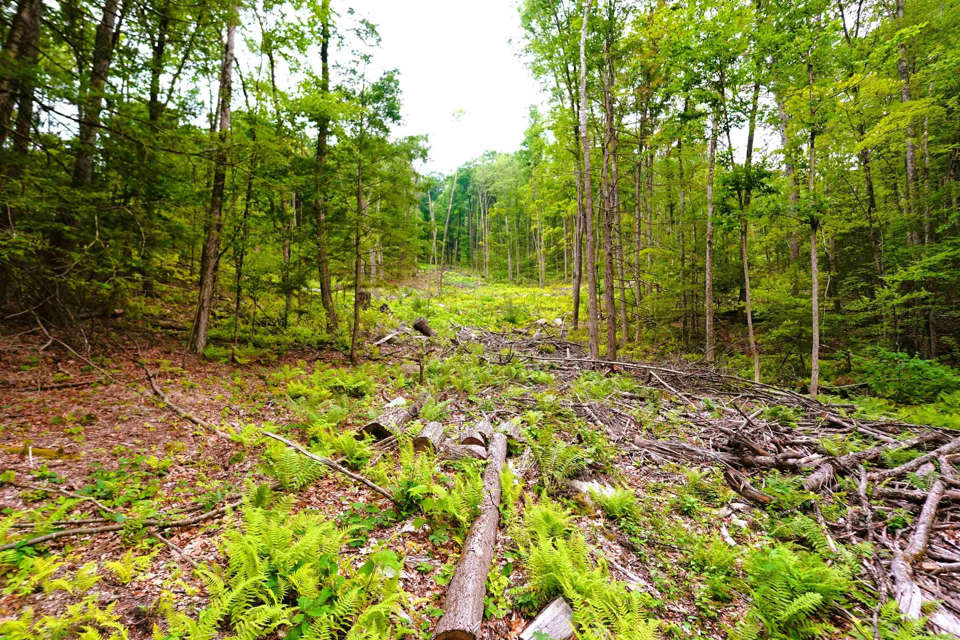 000 Burt Hill Road Winchester NH 03455