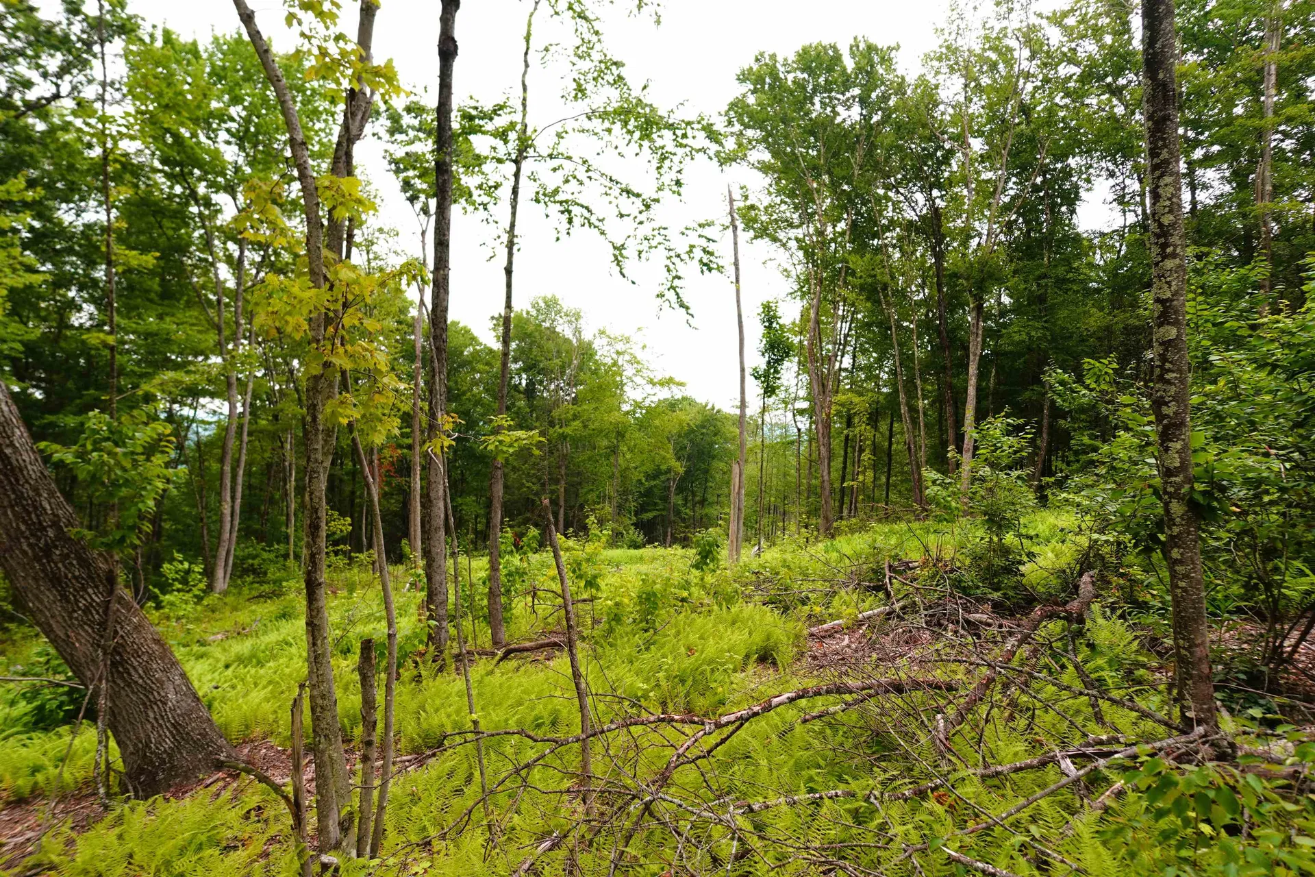 000 Burt Hill Road Winchester NH 03455