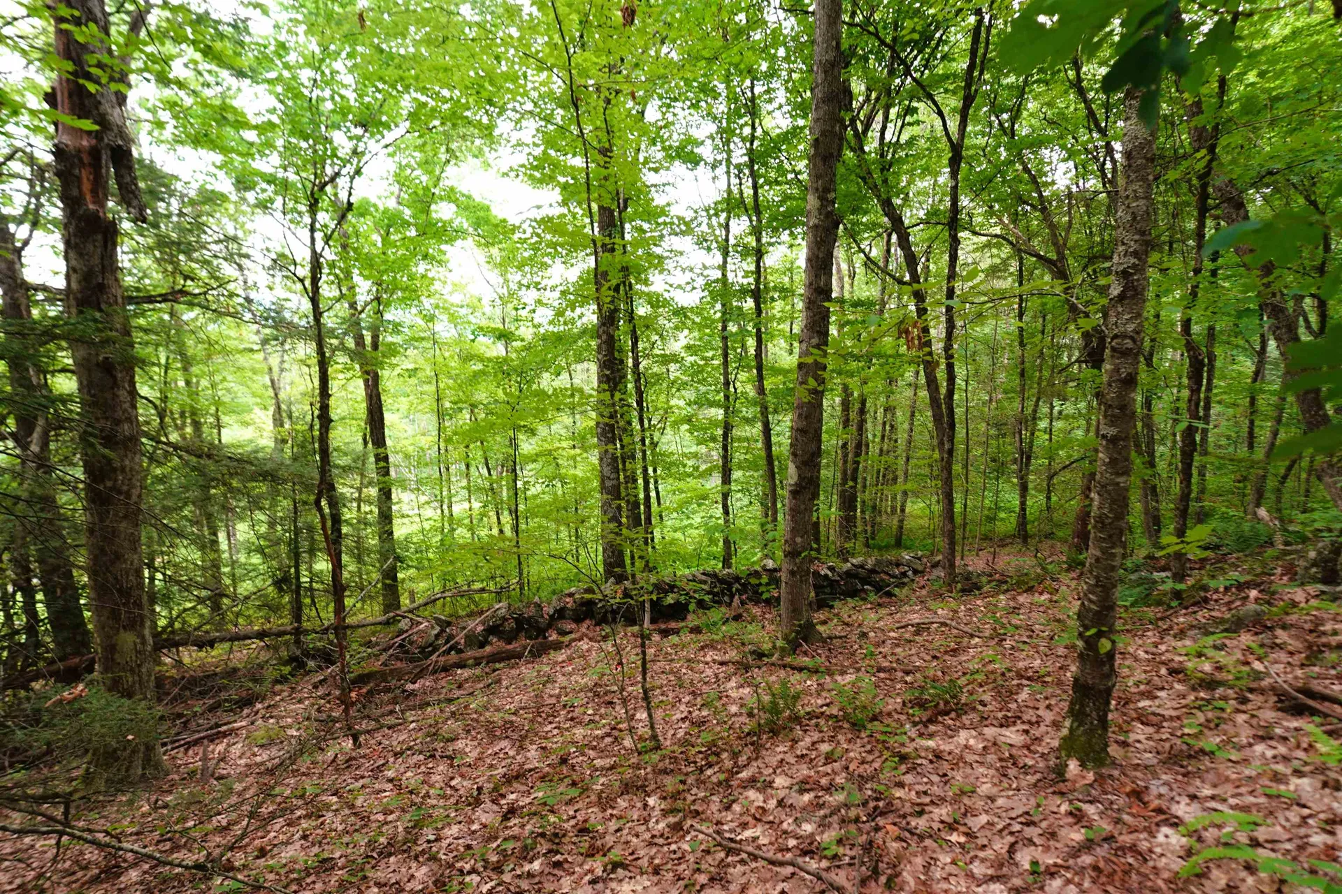 000 Burt Hill Road Winchester NH 03455