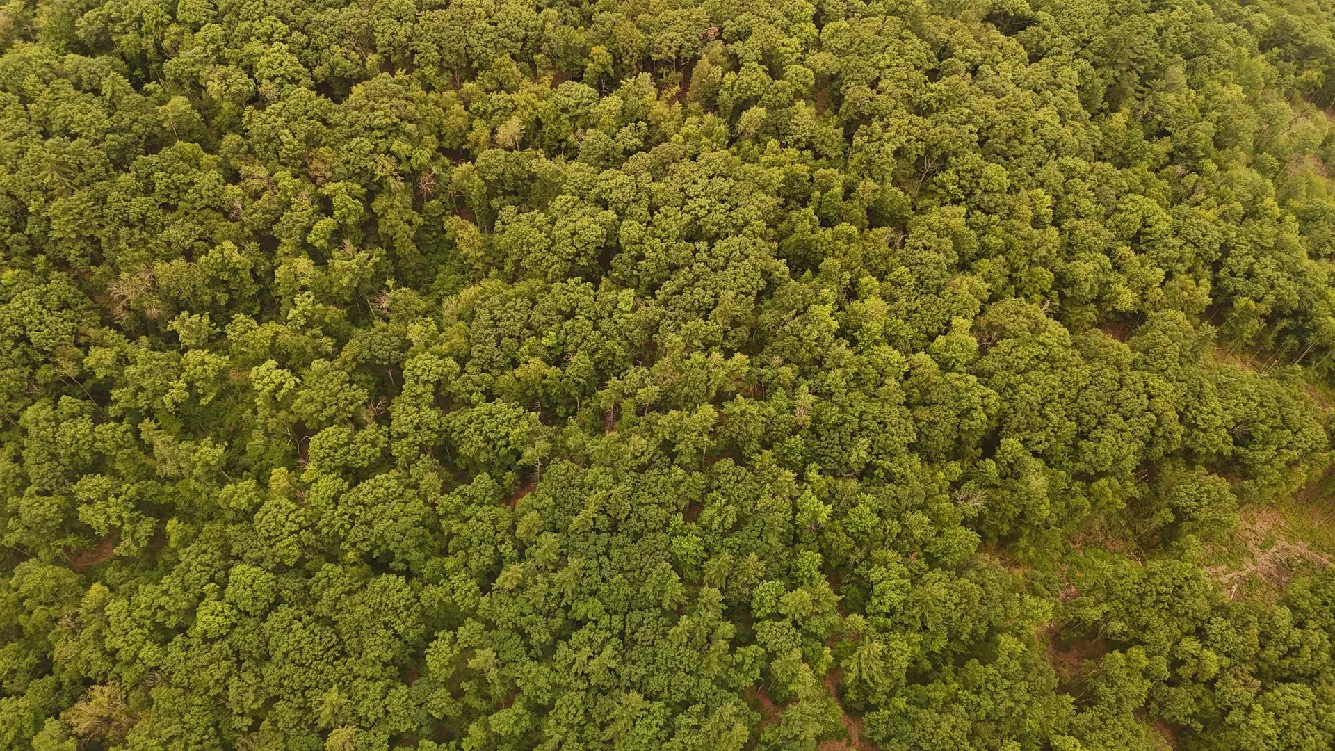 000 Burt Hill Road Winchester NH 03455