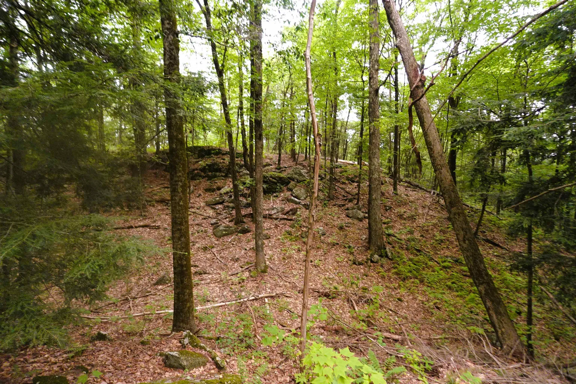 000 Burt Hill Road Winchester NH 03455
