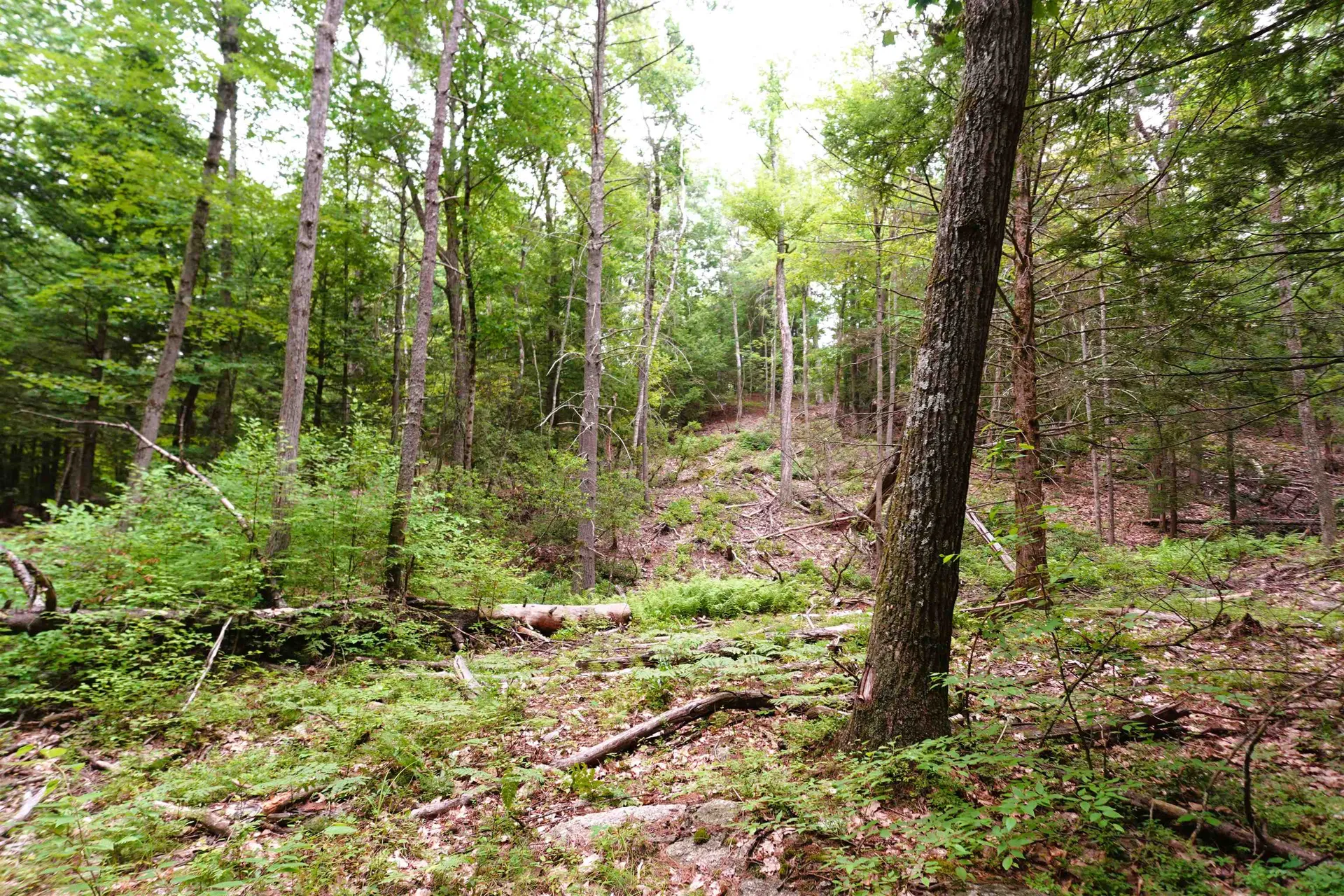 000 Burt Hill Road Winchester NH 03455
