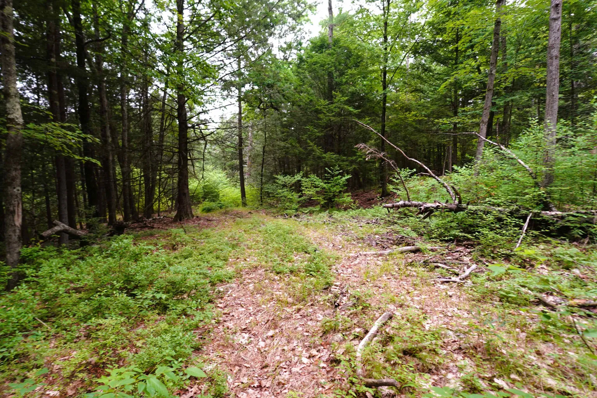 000 Burt Hill Road Winchester NH 03455