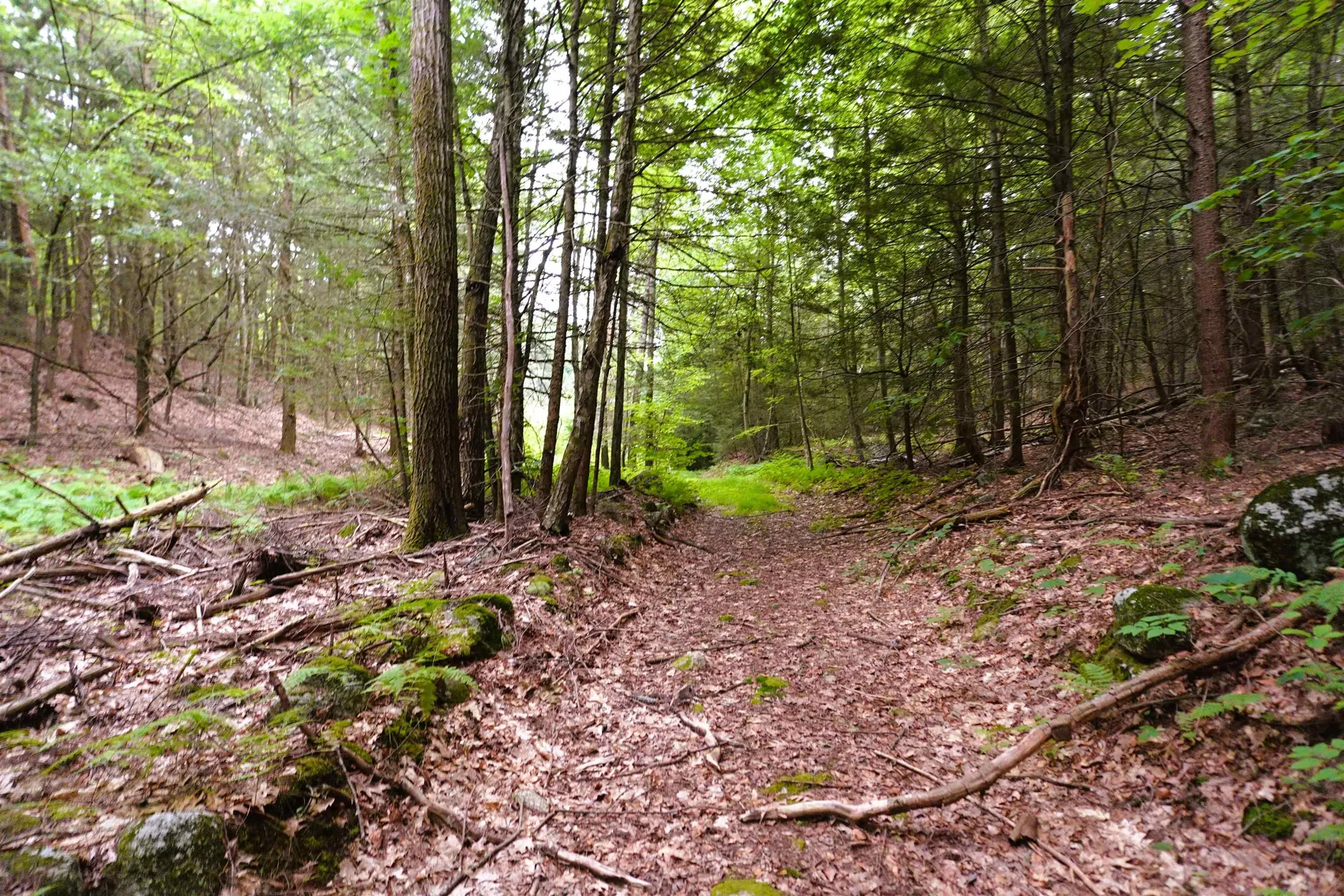000 Burt Hill Road Winchester NH 03455