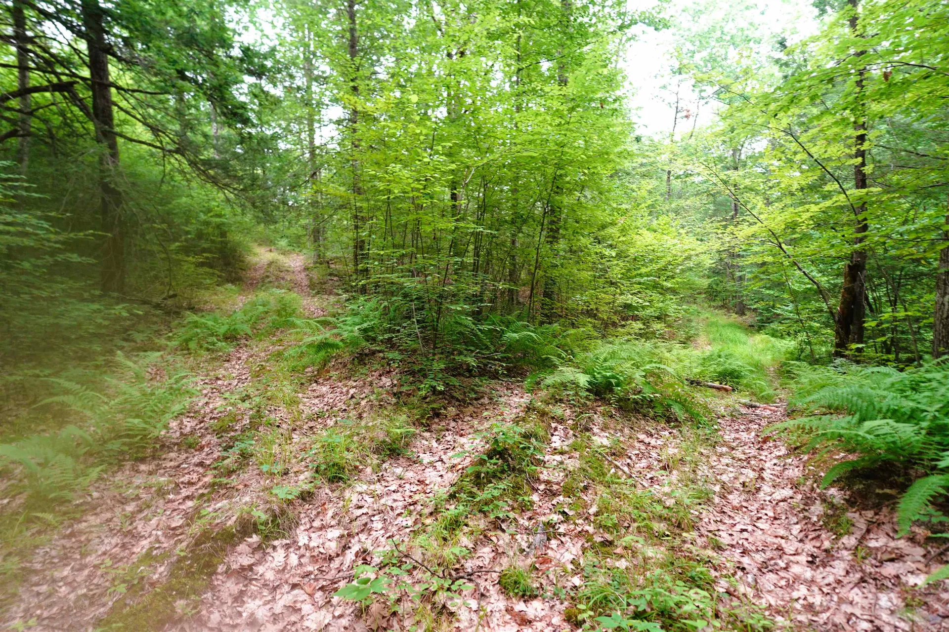 000 Burt Hill Road Winchester NH 03455