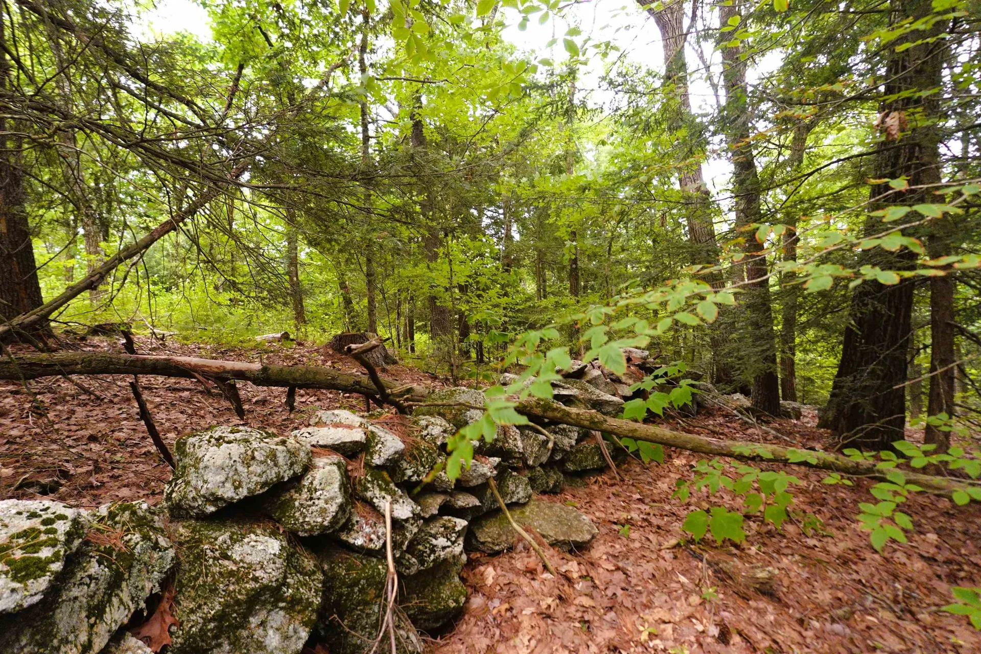 000 Burt Hill Road Winchester NH 03455