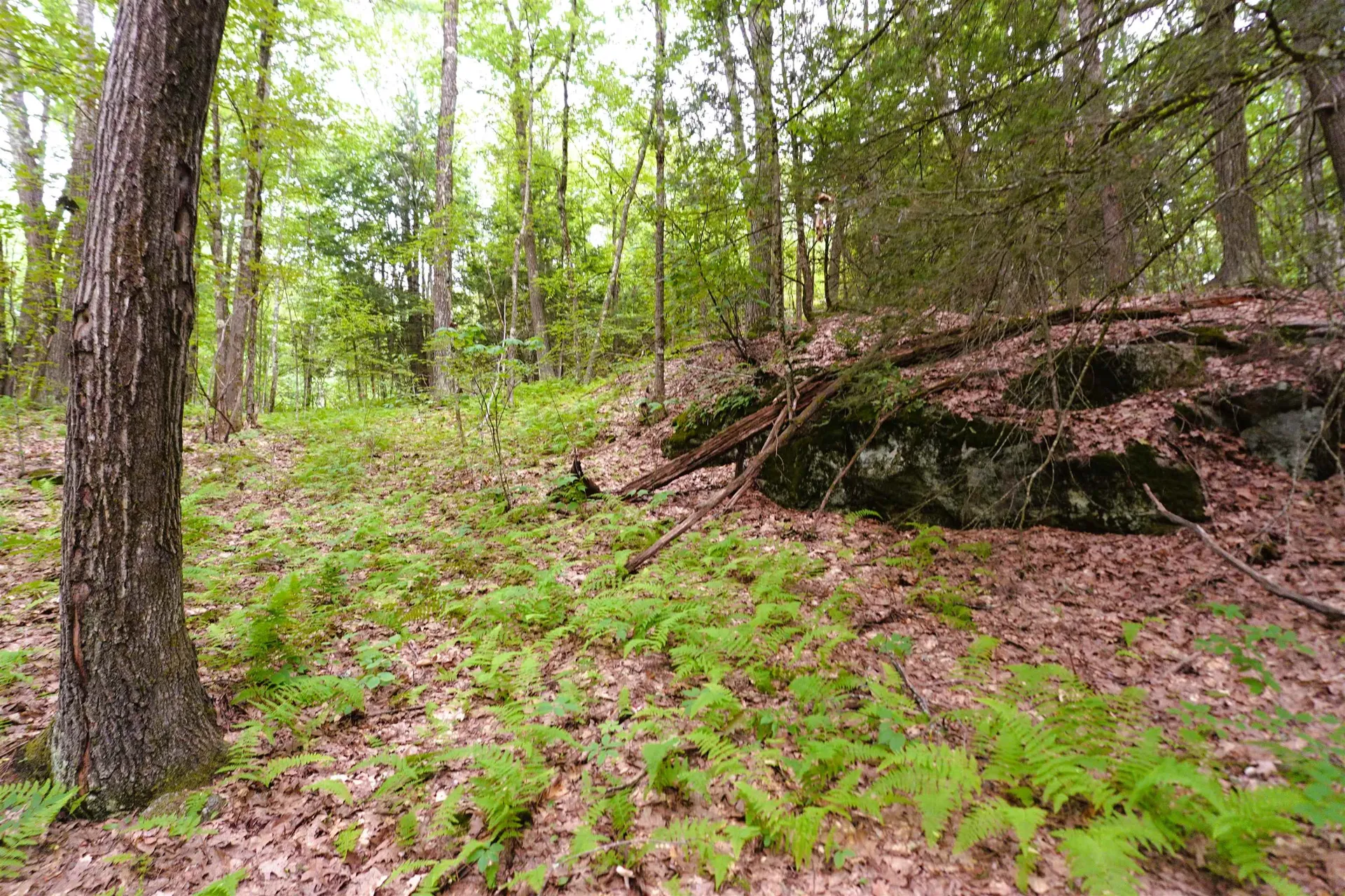 000 Burt Hill Road Winchester NH 03455