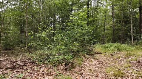 000 Burt Hill Road Winchester NH 03455
