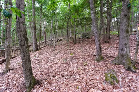 000 Burt Hill Road Winchester NH 03455