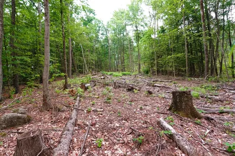 000 Burt Hill Road Winchester NH 03455