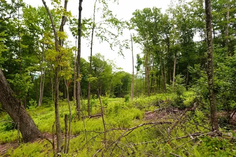 000 Burt Hill Road Winchester NH 03455