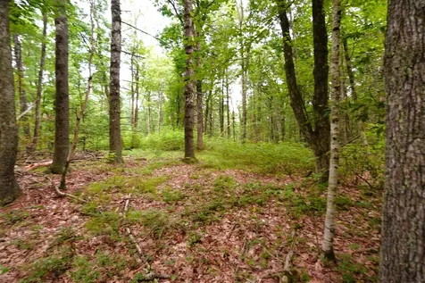 000 Burt Hill Road Winchester NH 03455