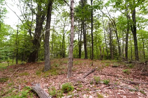 000 Burt Hill Road Winchester NH 03455