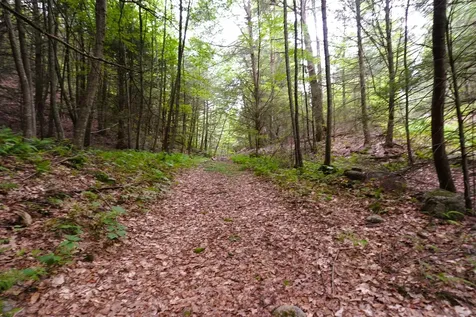 000 Burt Hill Road Winchester NH 03455