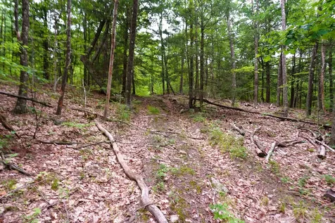 000 Burt Hill Road Winchester NH 03455