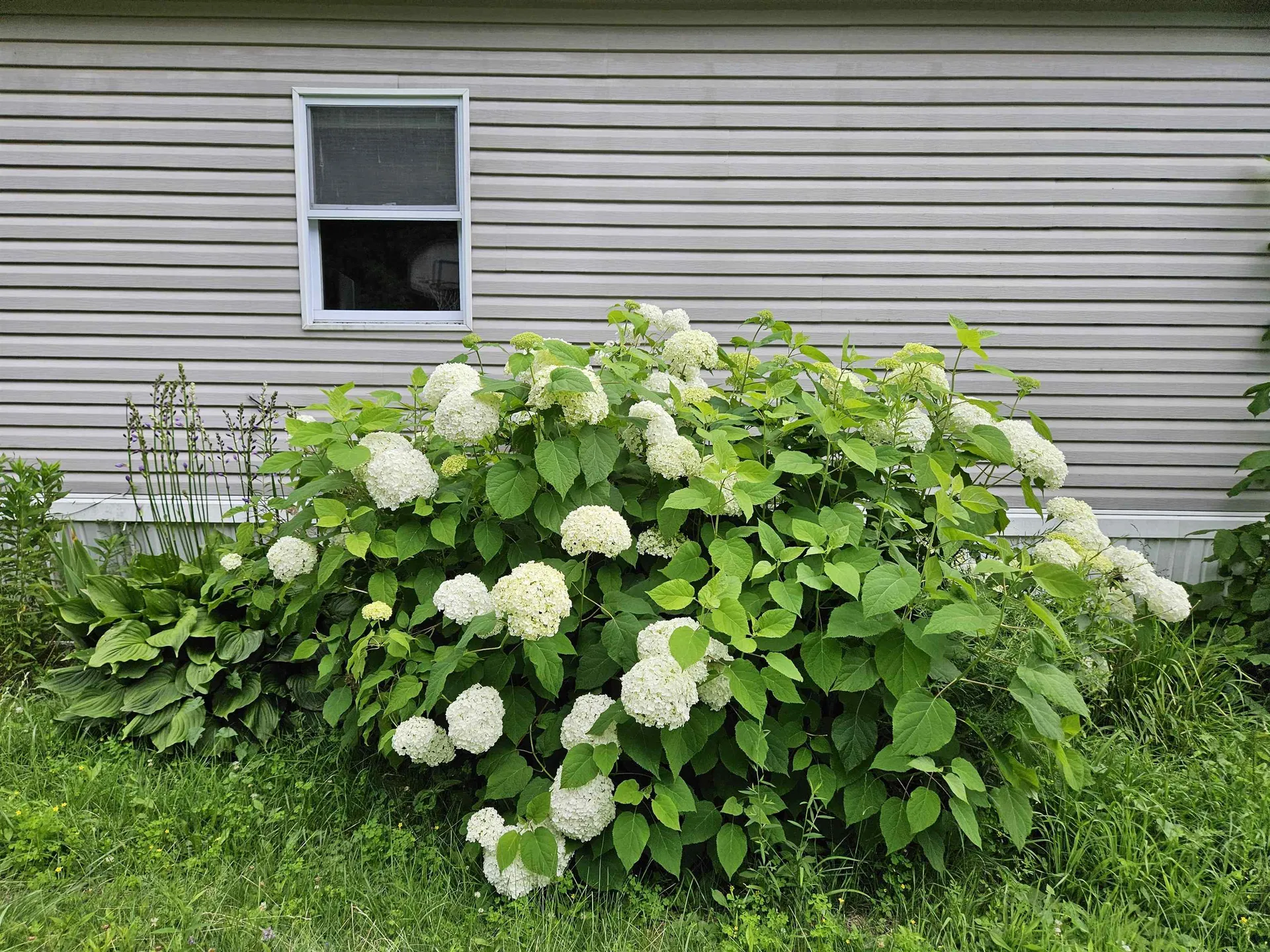 245 Lazy Brook Drive Starksboro VT 05487