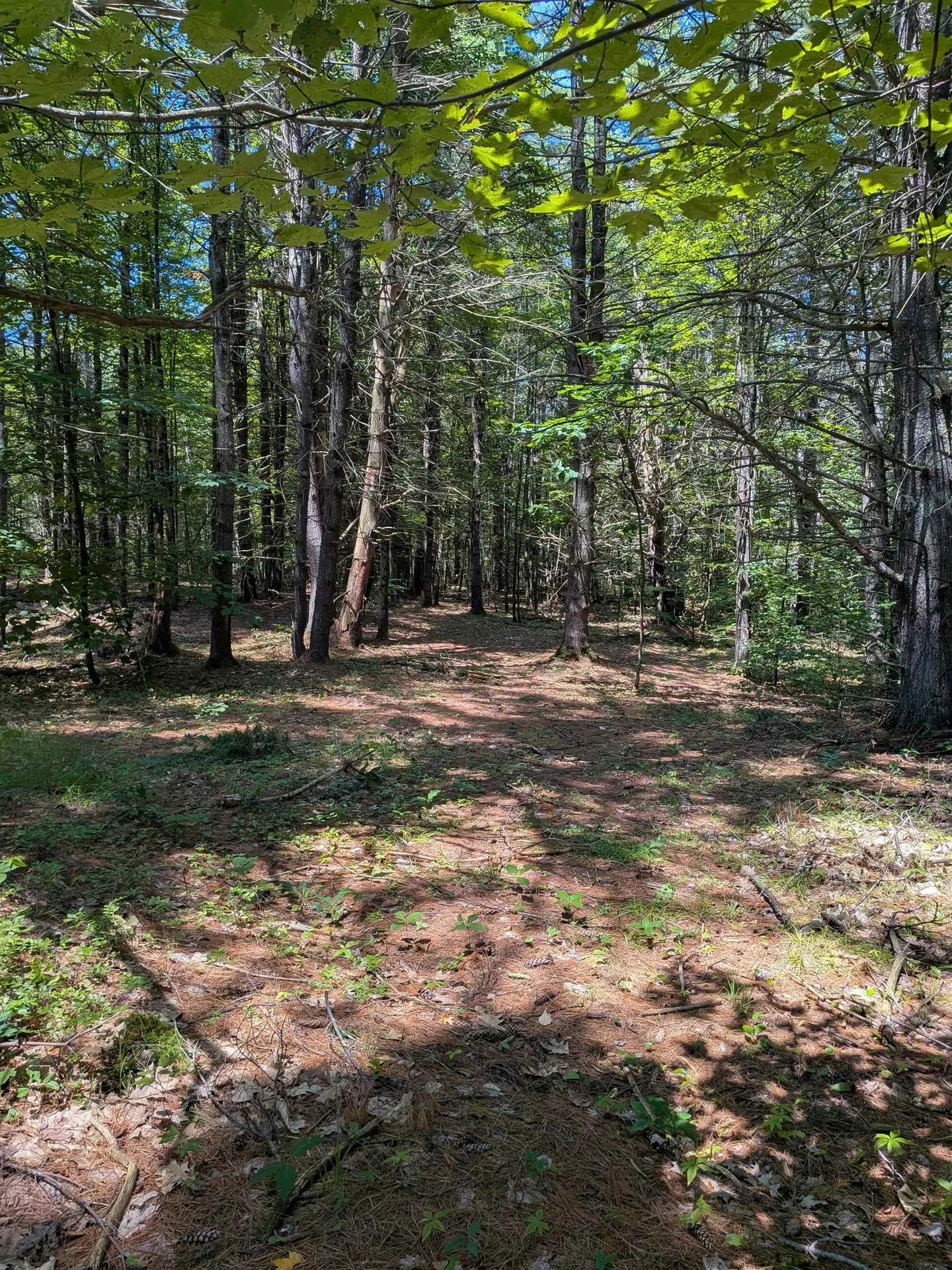 0 Sherri Lane Clarendon VT 05759