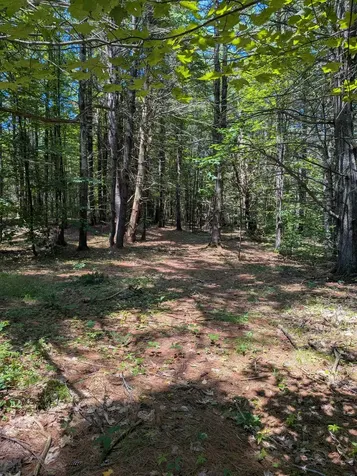 0 Sherri Lane Clarendon VT 05759