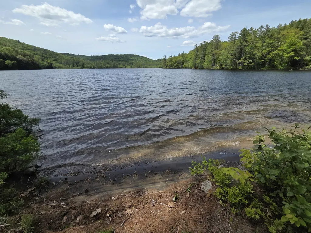 57 Tewksbury Pond Landing Grafton NH 03240