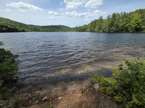 57 Tewksbury Pond Landing Grafton NH 03240
