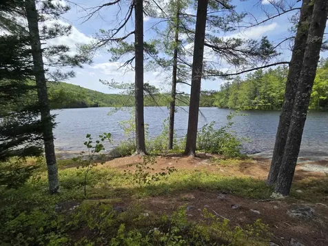 57 Tewksbury Pond Landing Grafton NH 03240