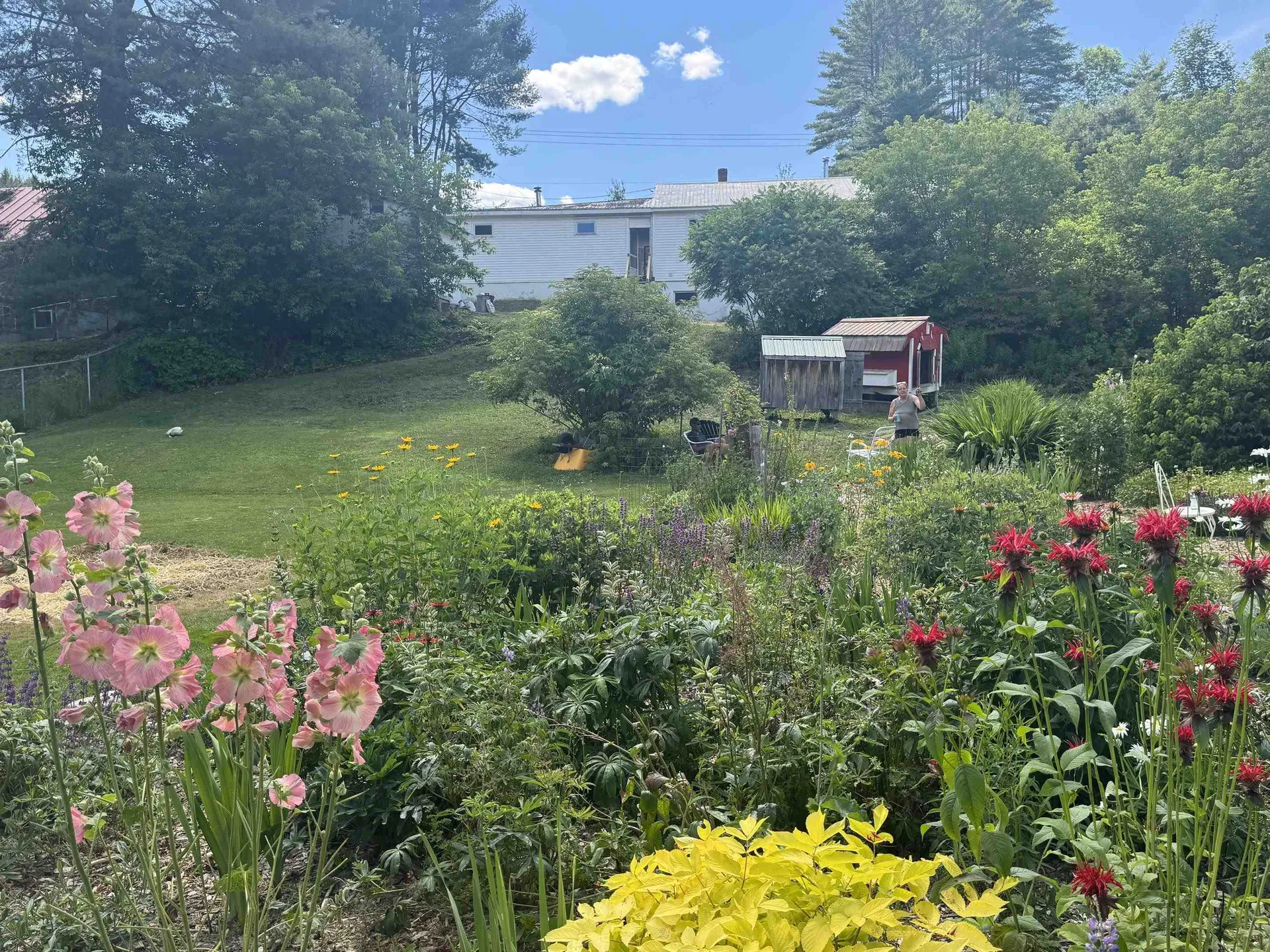 663 Elm Street Montpelier VT 05602