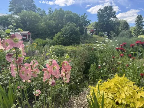 663 Elm Street Montpelier VT 05602