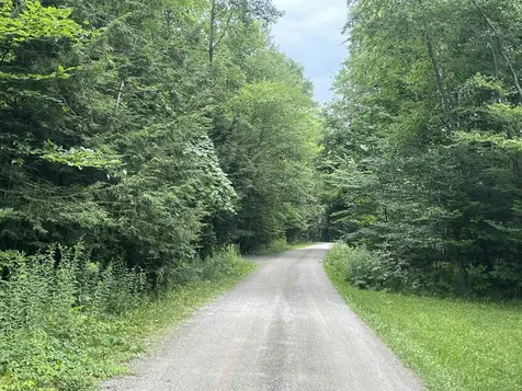 90 Hidden Springs Lane Wells VT 05774