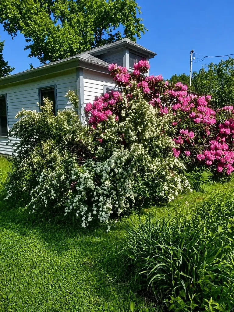166 Manley Road Milton VT 05468