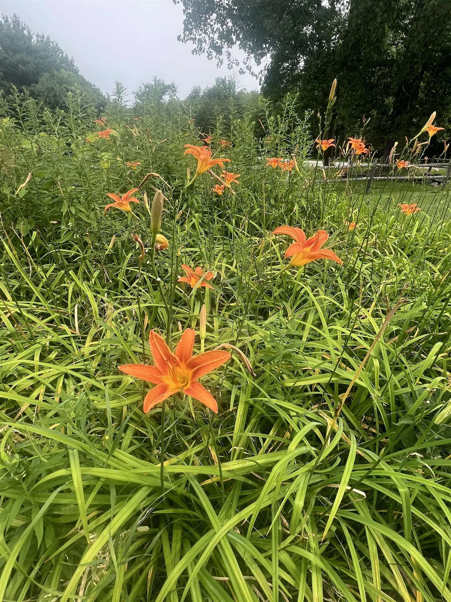 166 Manley Road Milton VT 05468
