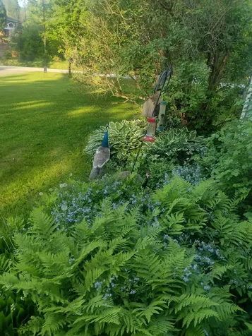 166 Manley Road Milton VT 05468