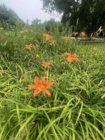 166 Manley Road Milton VT 05468