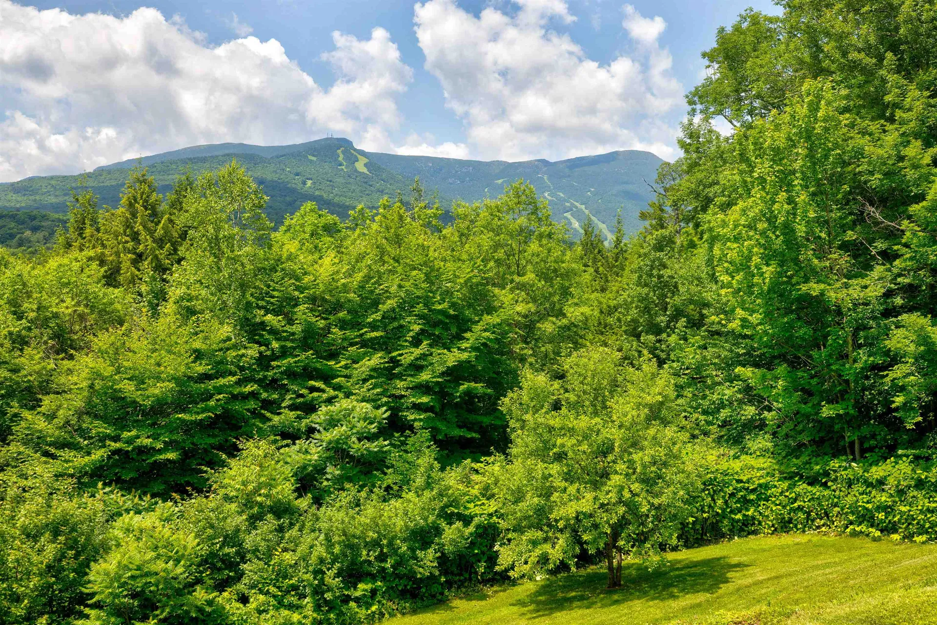 1039 Notchbrook Road Stowe VT 05672