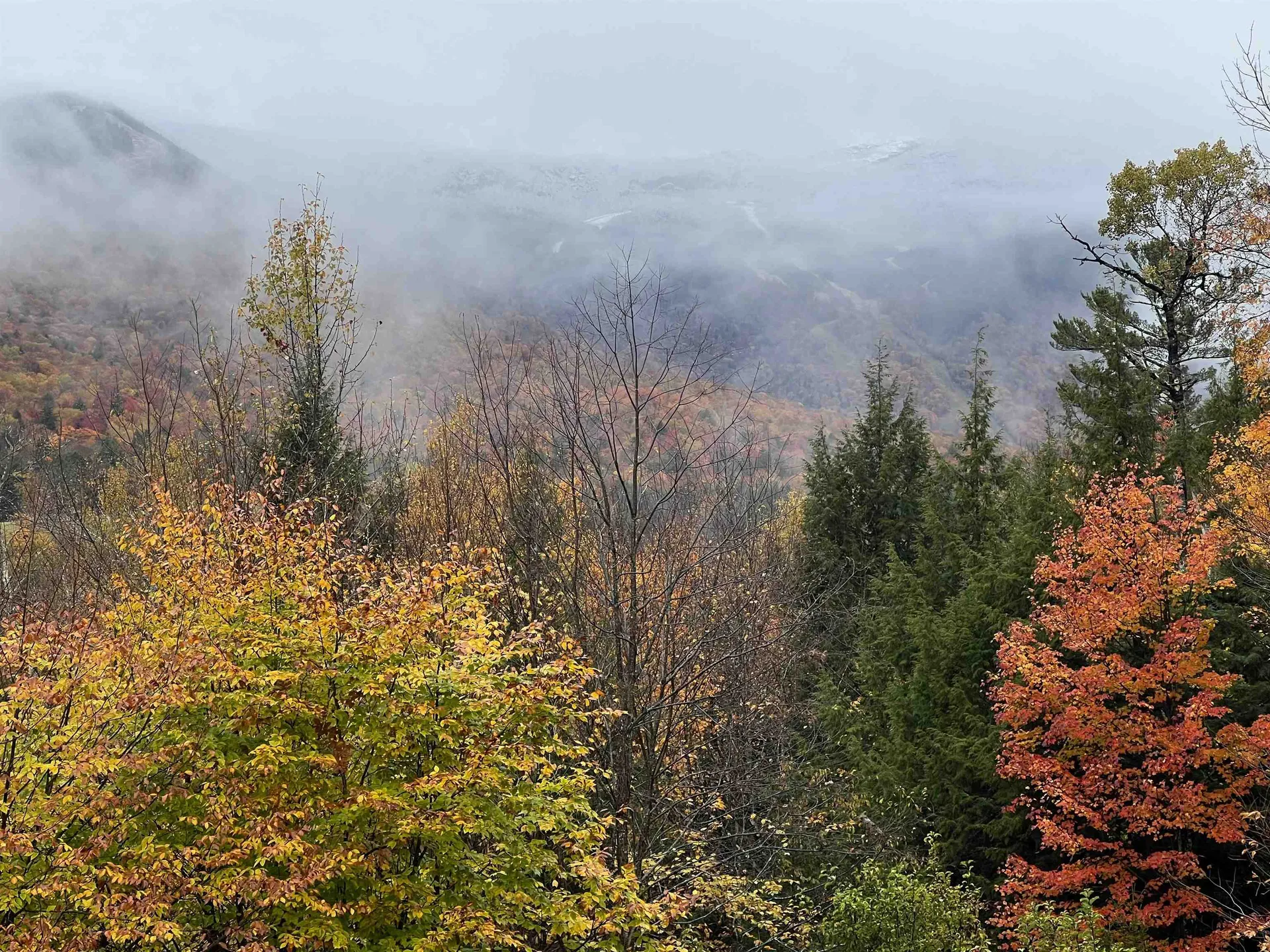1039 Notchbrook Road Stowe VT 05672