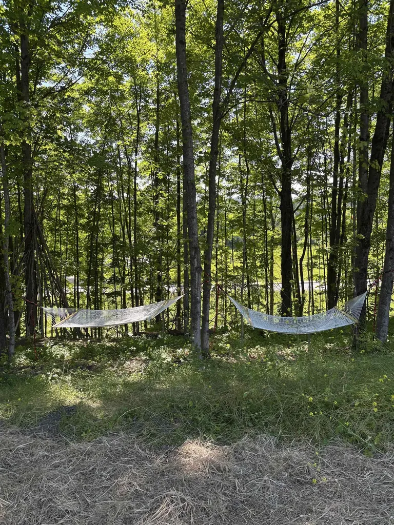 Lot #16 Pocket Road Hinesburg VT 05641