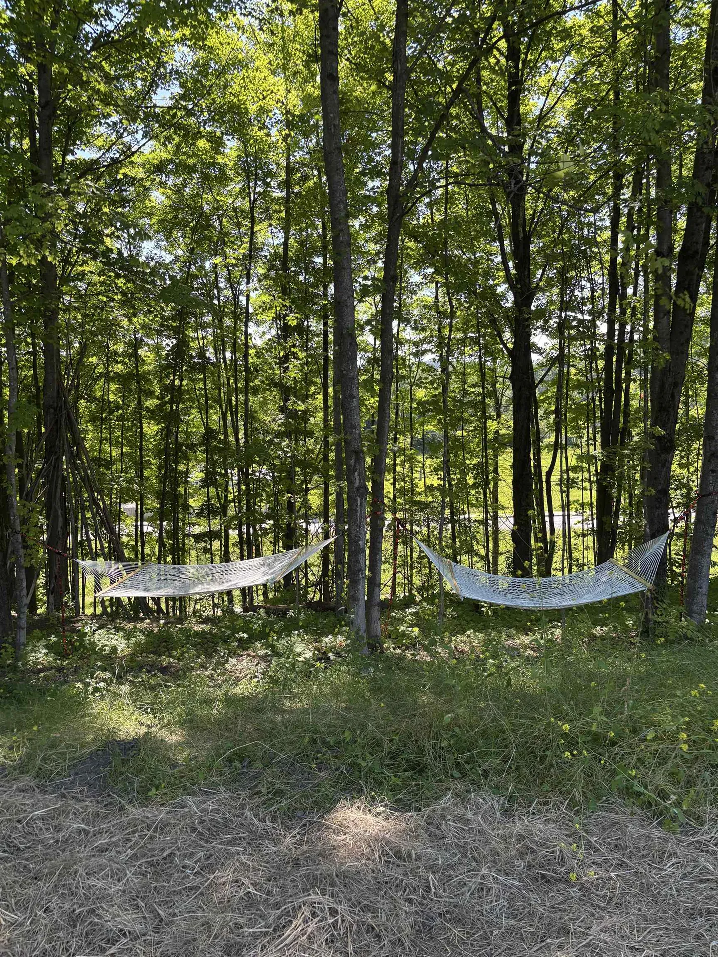 Lot #16 Pocket Road Hinesburg VT 05641