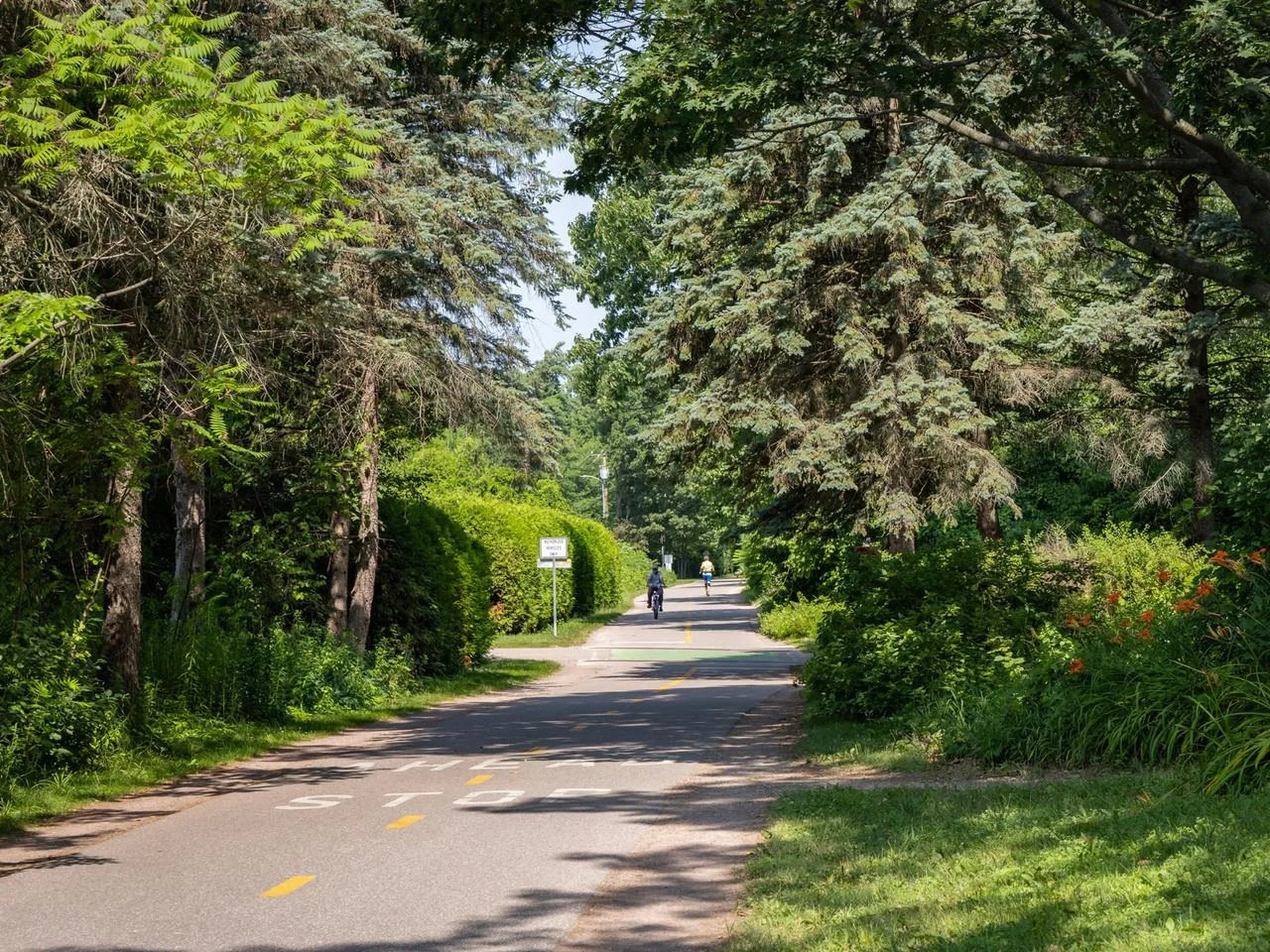 192 Killarney Drive Burlington VT 05408