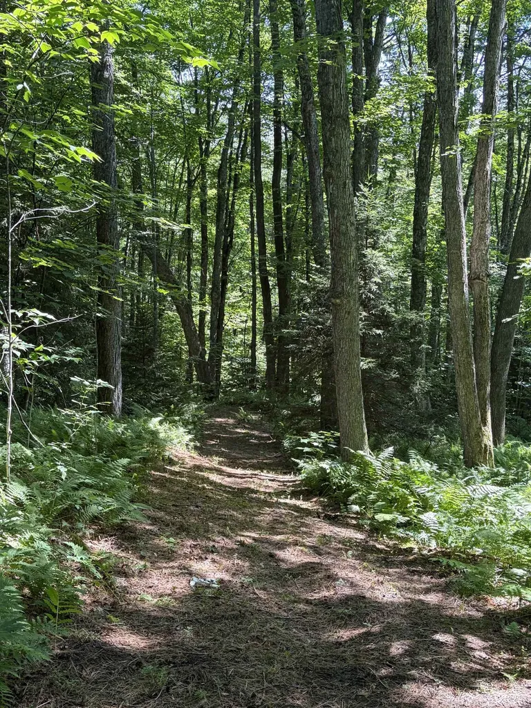2865 Bridgewater Hill Road Bridgewater VT 05035