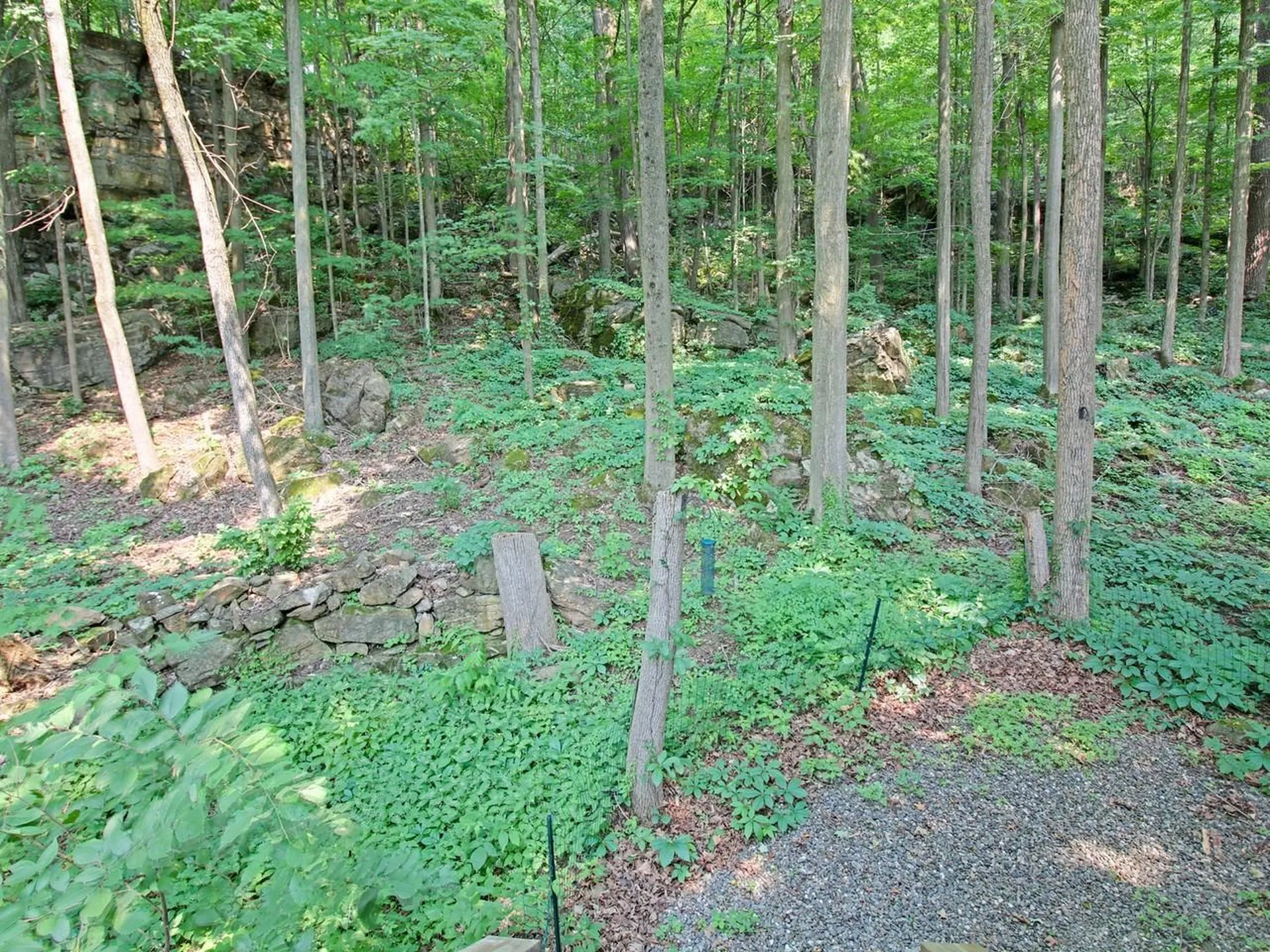 383 St. Albans Road Swanton VT 05488