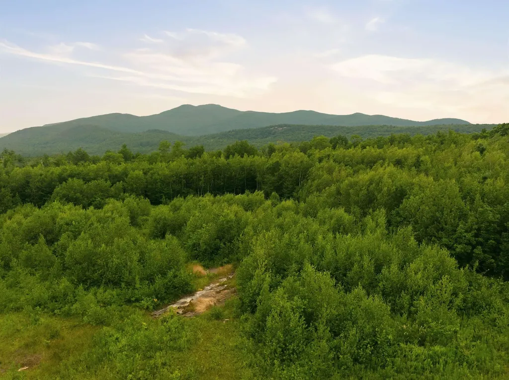32 Durgin Road Tuftonboro NH 03816
