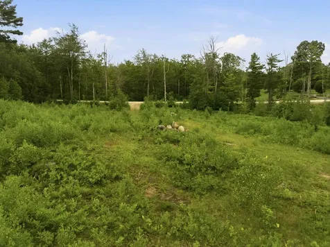 32 Durgin Road Tuftonboro NH 03816