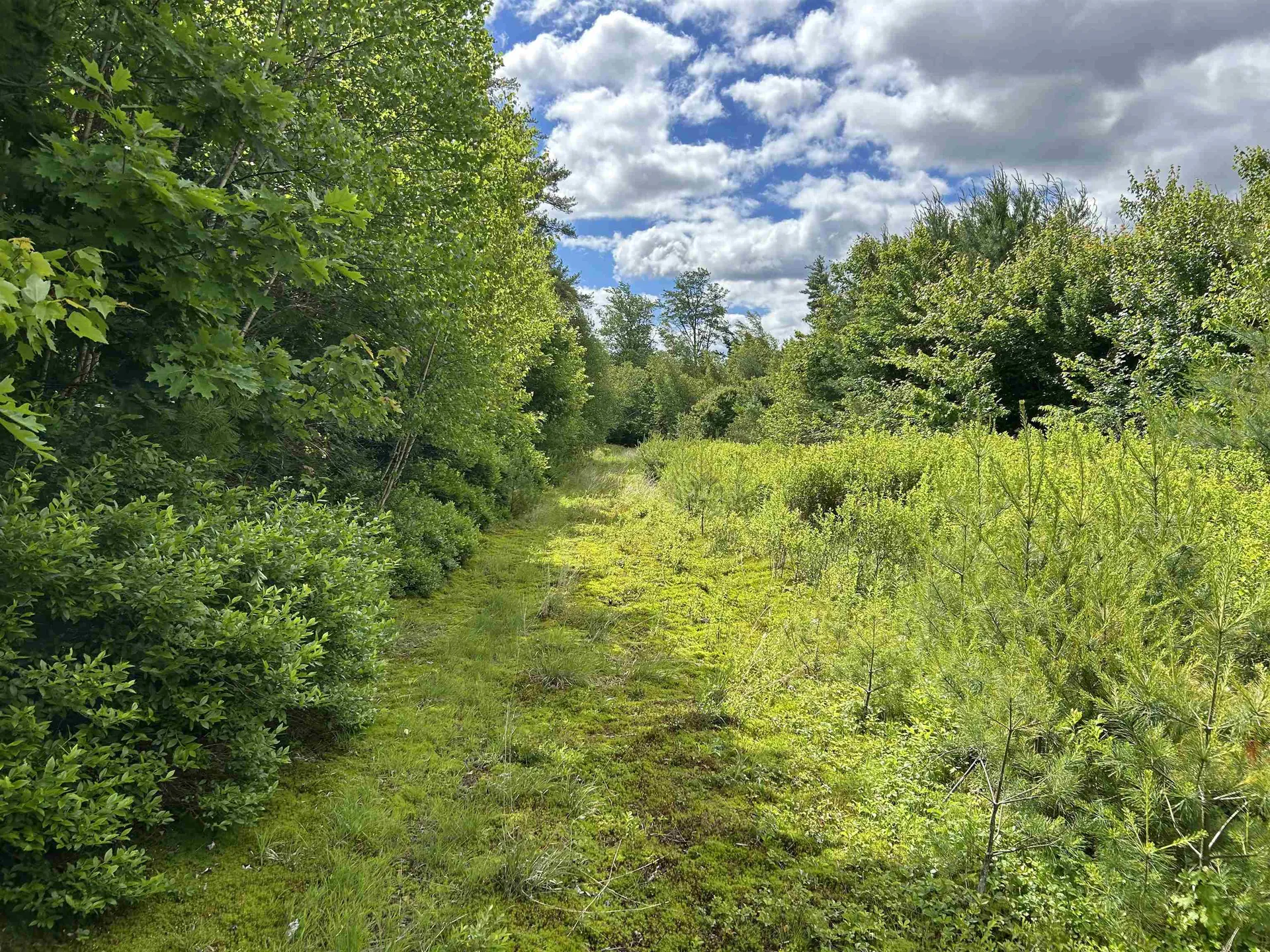 59 Curtis Road Farmington NH 03835