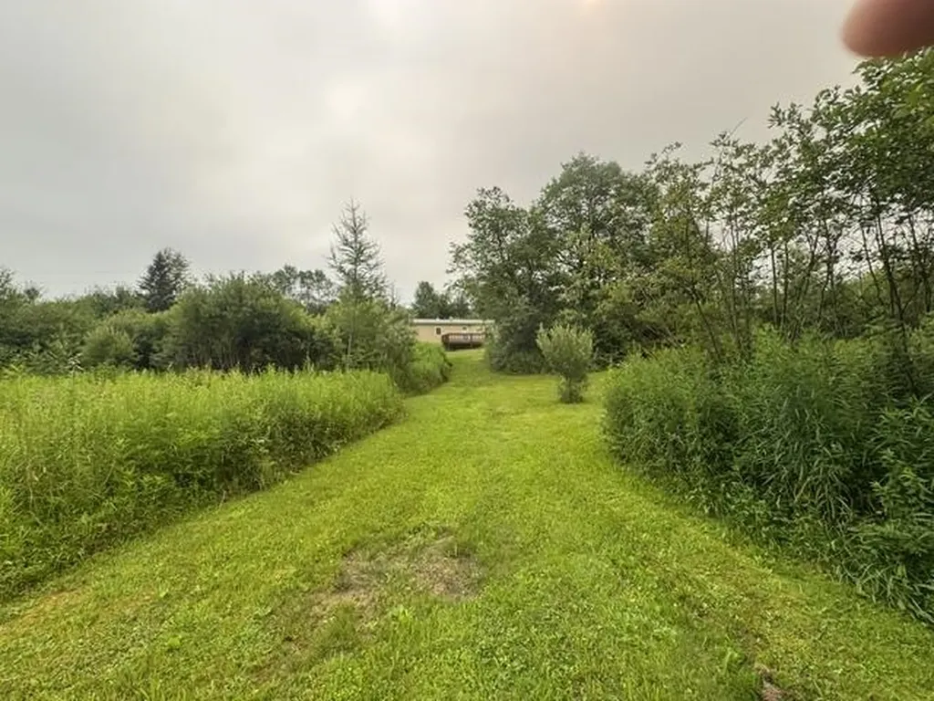 481 Collinsville Road Craftsbury VT 05826