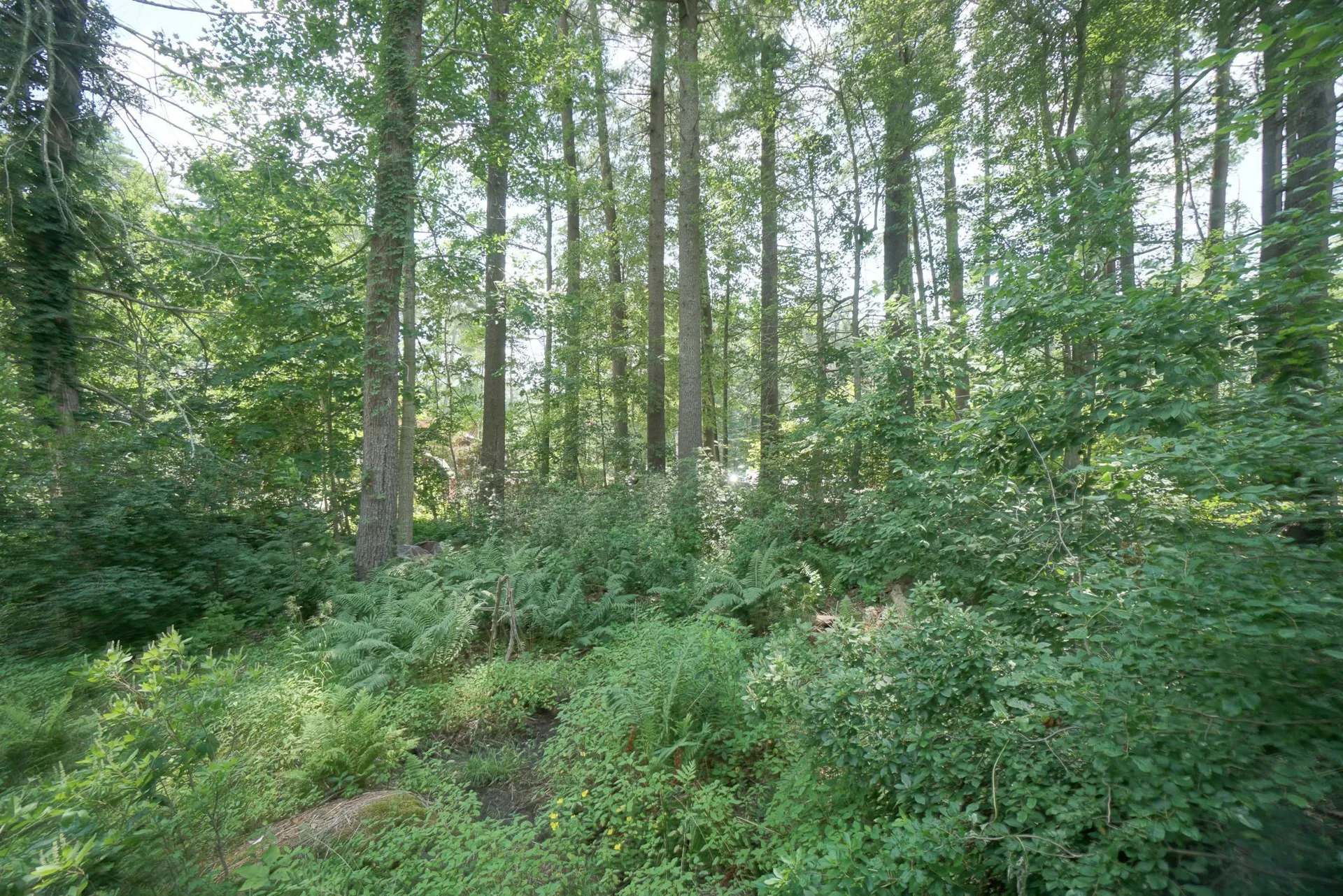 12 Grove Street Windham NH 03087