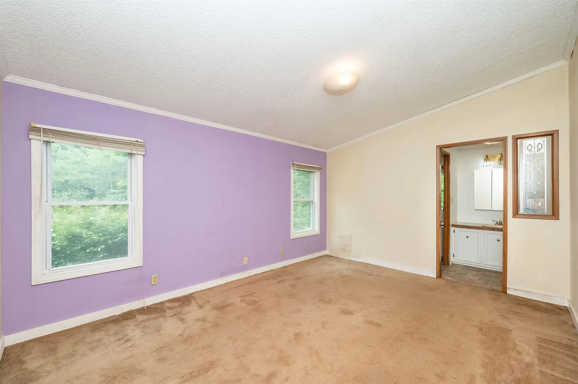 103 Lily Pond Road Alton NH 03809