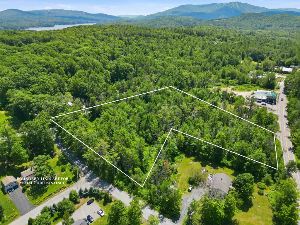 9 Beech Street Sunapee NH 03782