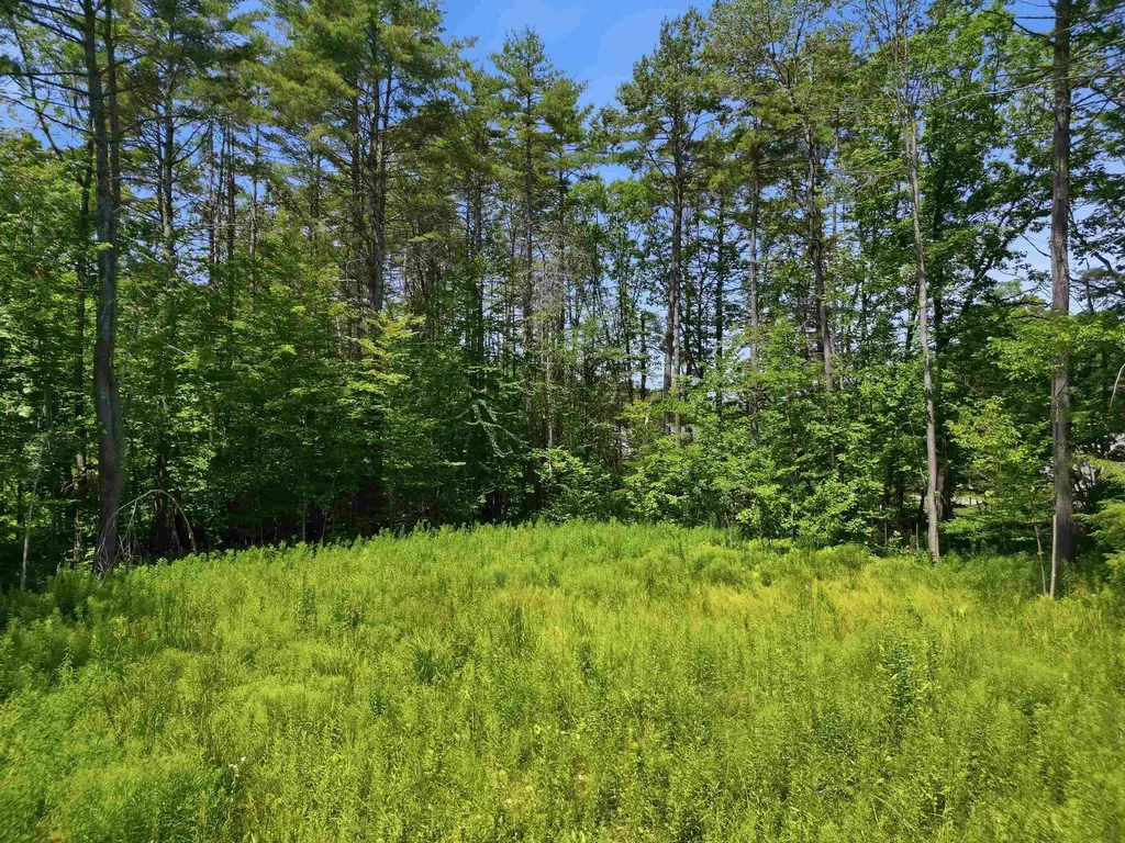 9 Beech Street Sunapee NH 03782