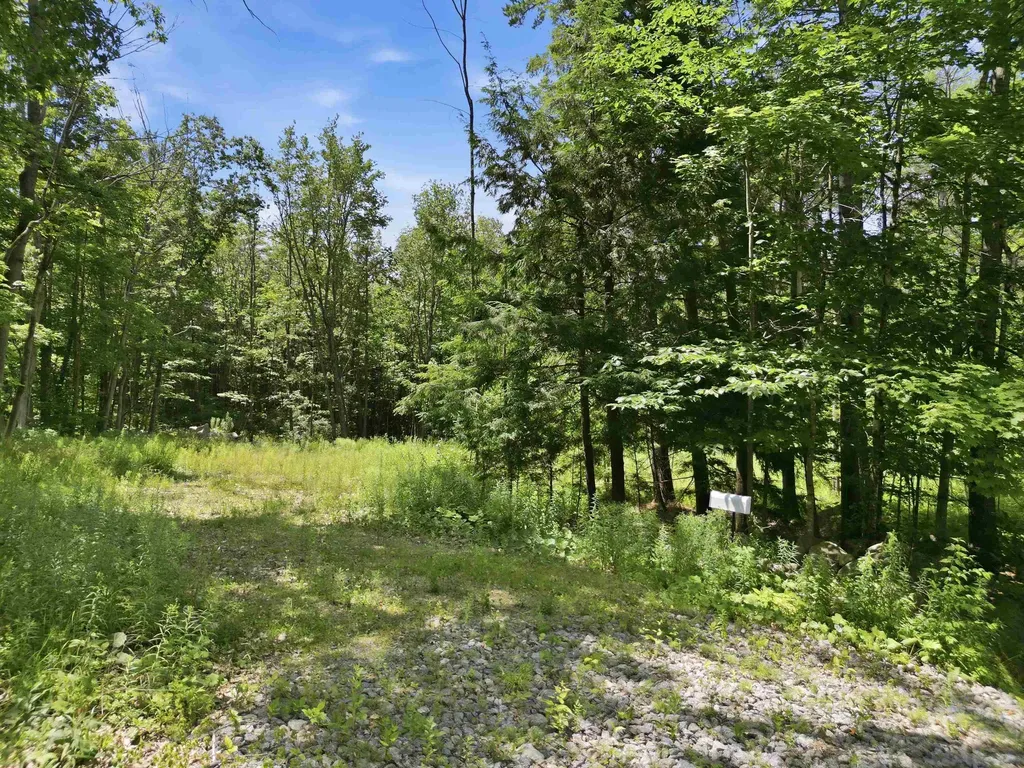 9 Beech Street Sunapee NH 03782