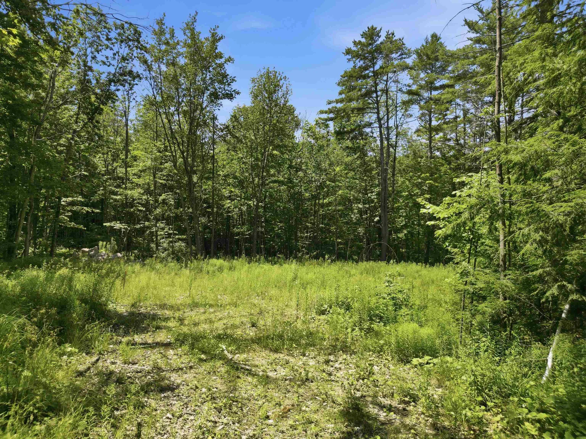 9 Beech Street Sunapee NH 03782