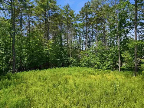 9 Beech Street Sunapee NH 03782